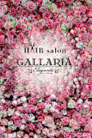 知原　賢汰(チハラ　ケンタ)