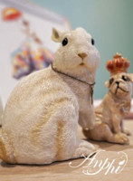 小森 佳世(コモリ カヨ)