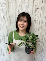 奥山 彩花【下総中山】(オクヤマ アヤカ)