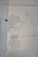 與那嶺　美月(ヨナミネ　ルナ)