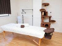 今井 有香(イマイ ユカ)