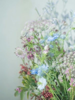 Ayumi(モリカワ　アユミ)