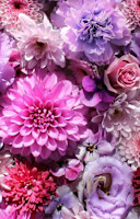 ゆうこ(ユウコ)