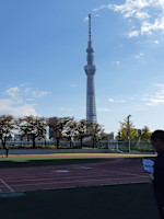 鈴木　さおり(スズキ　サオリ)