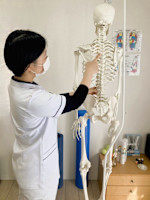 かえで(カエデ)