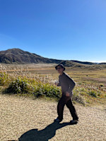 シノザキシンゴ(シノザキシンゴ)