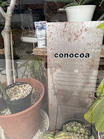 水上 学(ミナカミ ガク)