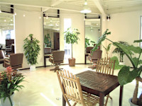 川嶋 朋子(カワシマ トモコ)