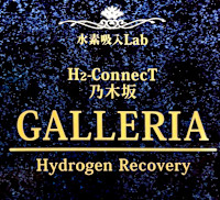 水素アドバイザー(スイソアドバイザー)