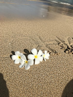 新沼(ニイヌマ)