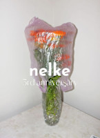 kisera【立川駅/立川/髪質改善/ダブルカラー](キセラ　タチカワ)