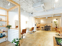 ミズキ(ミズキ)