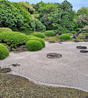 Asanuma(アサヌマ)
