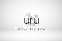 カトウ ダイスケ(カトウ ダイスケ)