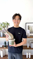 小泉 柊介(コイズミ シュウスケ)