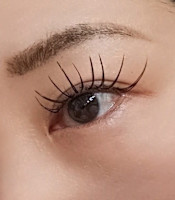 Ecco Divine(エッコ　ディバイン)