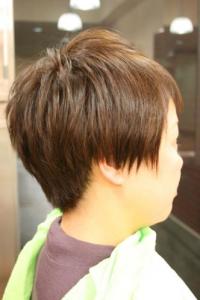 ドライカット - hair Qril掲載
