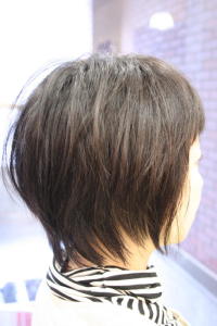 ドライカット - hair Qril掲載