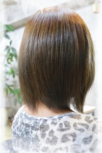 マッシュボブ【西巣鴨】 - Vingt-et-un掲載