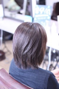 究極のグリーンフォレスト - RoomieRoom掲載