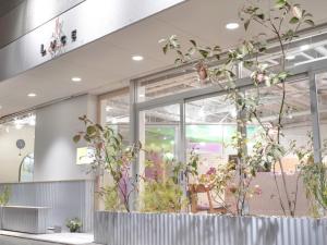 Locopicaro Presto ロコピカロプレスト 東広島市 美容室 Sakuria サクリア