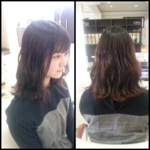 セミロングヘアスタイル - Hair VERDE掲載