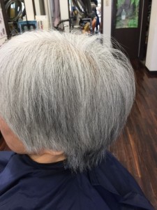 ダブルヘナ（2度染めヘナ） - Hair Salon Be-Stone掲載