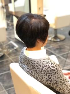 ミセスショート - EDEN Hair Design掲載