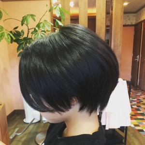 ハンサムショートカット - SUNMAID掲載