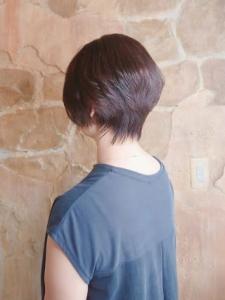 【151e　戸塚】*センシュアルショート+ブランジュ* - 151e_戸塚掲載