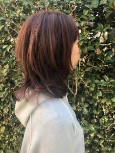 ミディアム - nono～Ｄeｃonstruct Basic～掲載