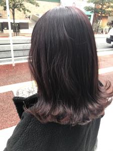 インナーカラー　ボルドー系 - 半個室型美容室 Sourire 荒戸店掲載