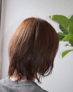 Bios hair - Bios hair掲載