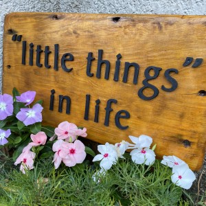 ‘‘little things’’ in life(リトルシングス イン ライフ)