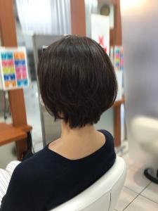 ＊ニュアンスショートヘア＊BAssA 新所沢 - BASSA 新所沢店掲載