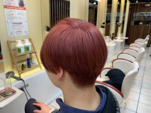 【QUALIS】ルビーレッド/メンズ - QUALIS 上板橋店掲載