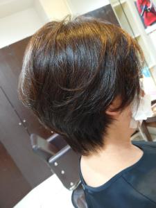 秋色美髪カラー - Stilla smooth掲載