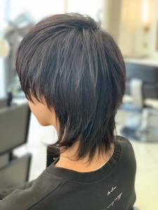 マッシュウルフ - Ash 瑞江店掲載
