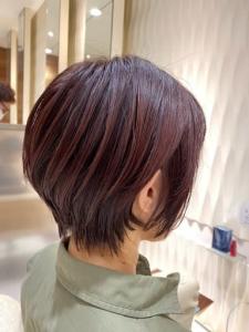 ショートボブ - VAN COUNCIL camellia HAIR by sakamoto掲載