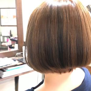 ブリーチレスハイライト - HAIRSALON solork掲載