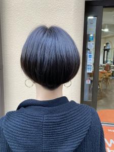ハンサムショート - WILL bossa 神保町店掲載