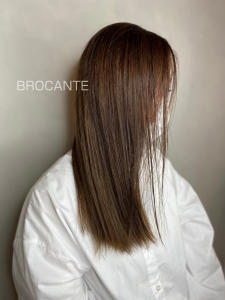 ハイライト シークレットカラー アッシュベージュ - BROCANTE LUXBEブロカントラックスビー立川北口店掲載