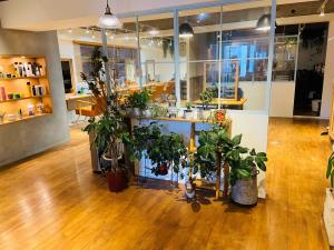 Luck 辻堂 ラックツジドウ 藤沢市 美容室 Sakuria サクリア