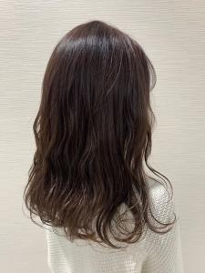 ラベンダーベージュ - ungu ul掲載