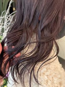 naomi hair / wine red - FACE。大船掲載