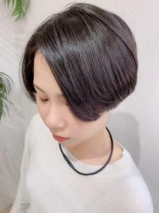 トランクスショート - Ash 仙川店掲載