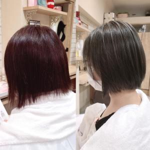 【Ayung銀座】オリーブアッシュ - Hair Lounge Ayung掲載