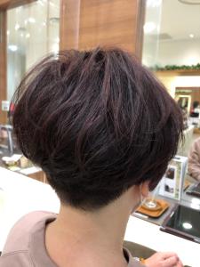 新作スタイル - Image AVEDA 八王子店掲載
