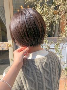大人可愛い丸みショート　横浜駅西口20代30代 - Neolive aim 横浜店掲載