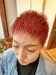 あまり載せたくないけどVOL.2_ホントは男子向けクロップ - ヒトトケ掲載